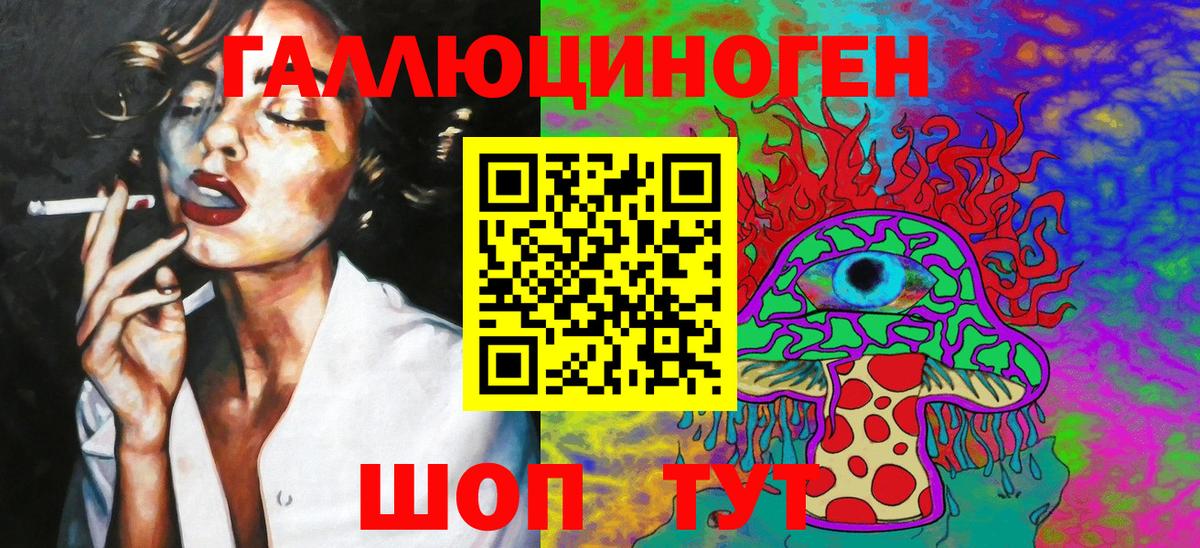 Галлюциногенные грибы Psilocybine cubensis Бахчисарай